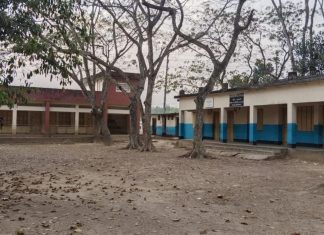 মৌলভীবাজারে ৬০৩ টি বিদ্যালয়ে নেই “শহিদ মিনার”